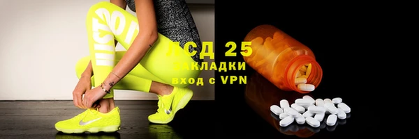 скорость Вяземский