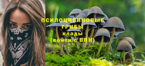 2c-b Володарск