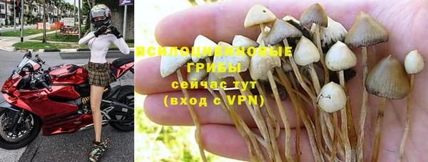 хмурый Волосово