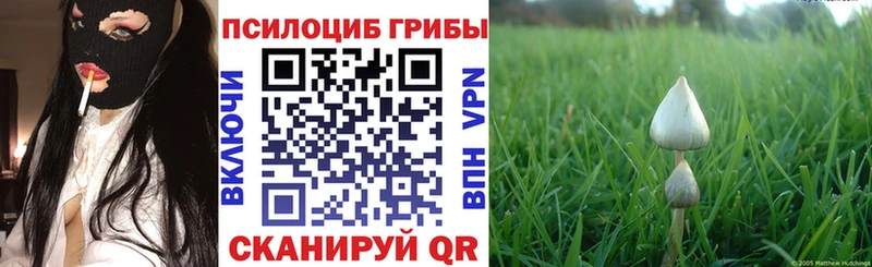Псилоцибиновые грибы мицелий  Дудинка 